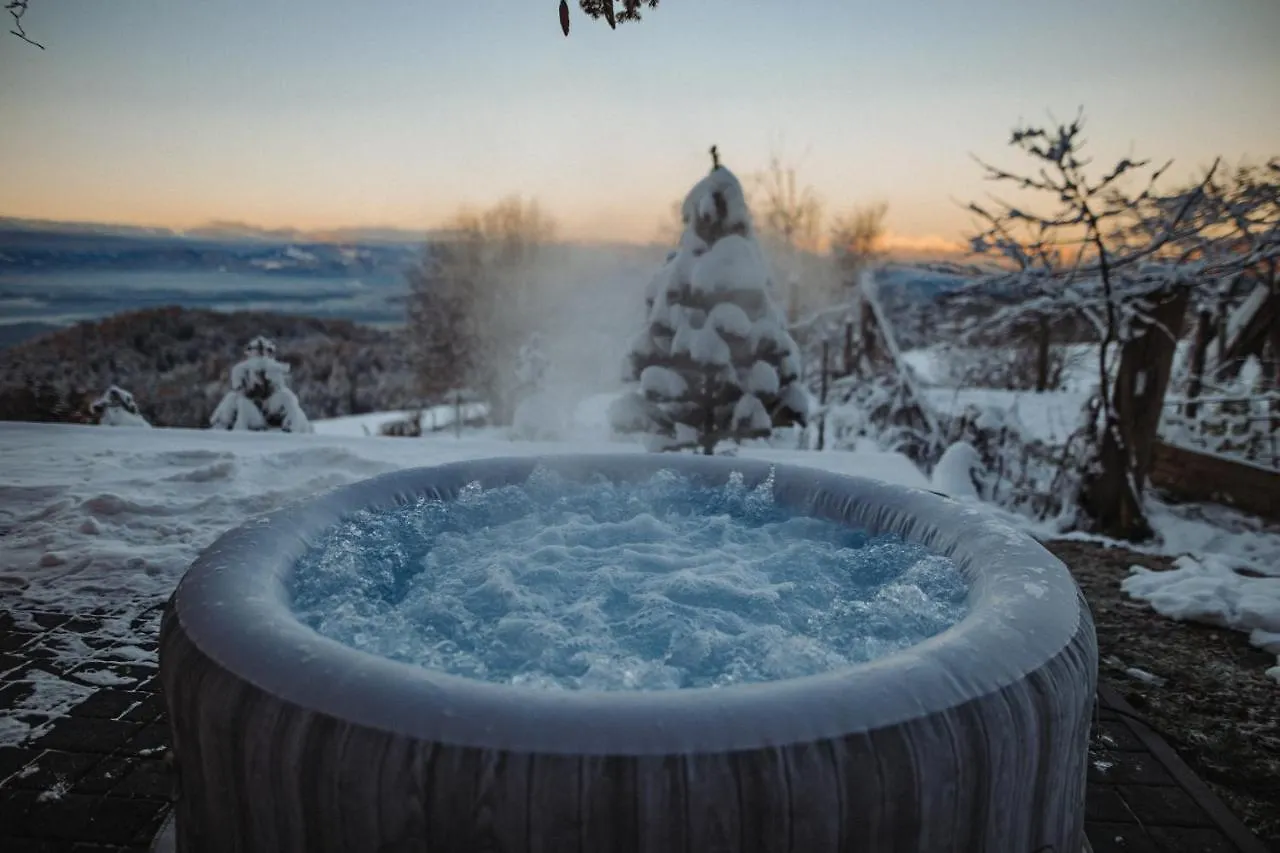 Med Smrekami - Cozy Place With Sauna And Jacuzzi Apartment Cerklje na Gorenjskem Slovenia